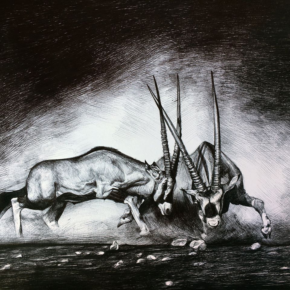 Damien Paccalin - Dessinateur