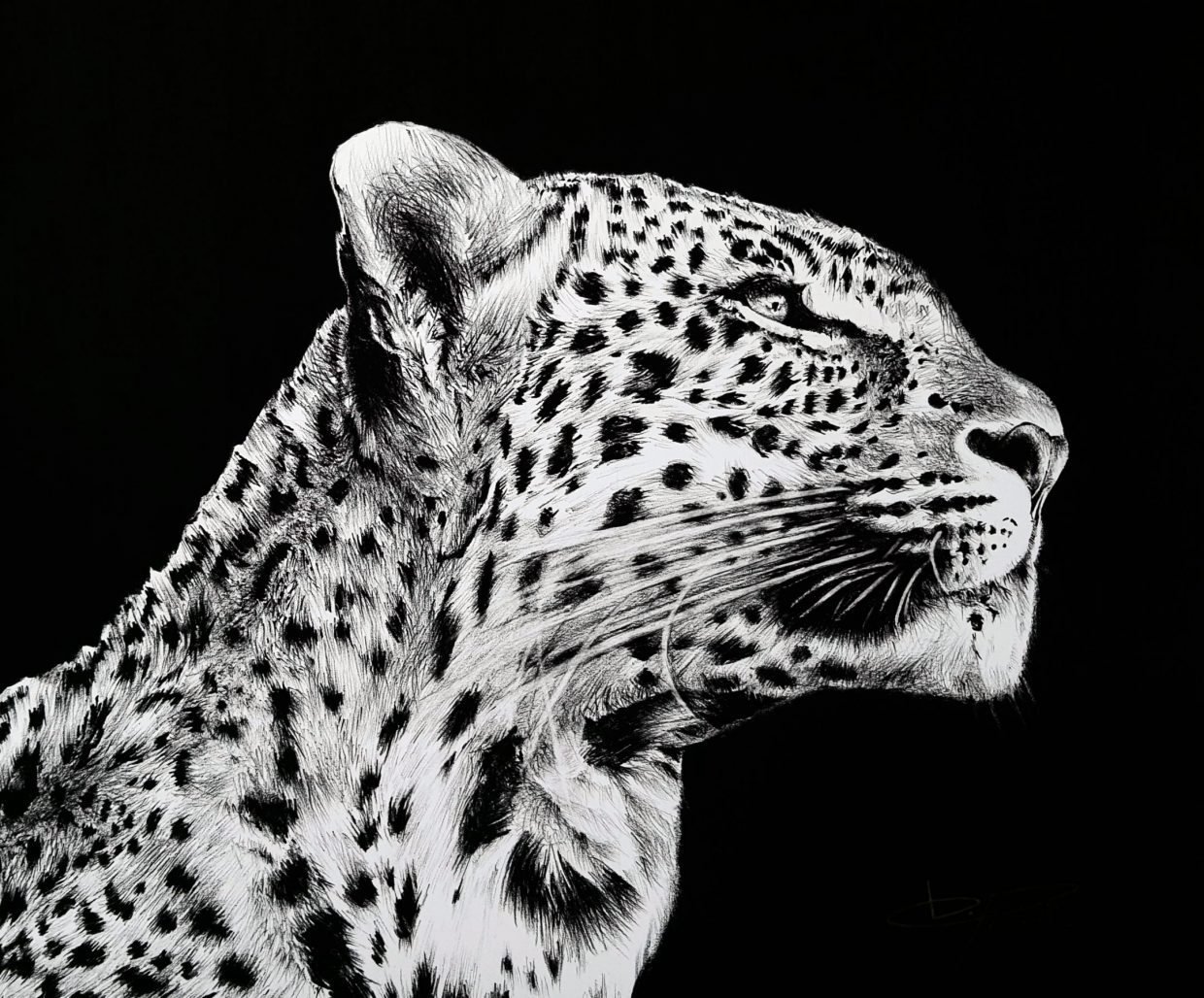 YIN - Damien PACCALIN